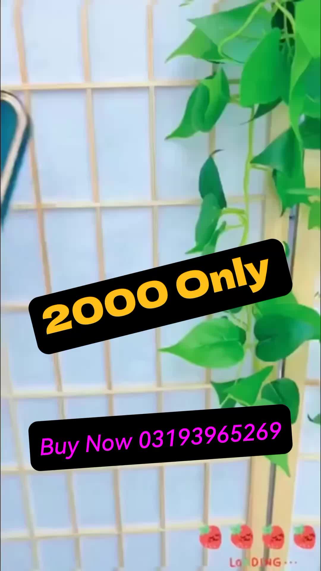 @piyankamongiya ✅