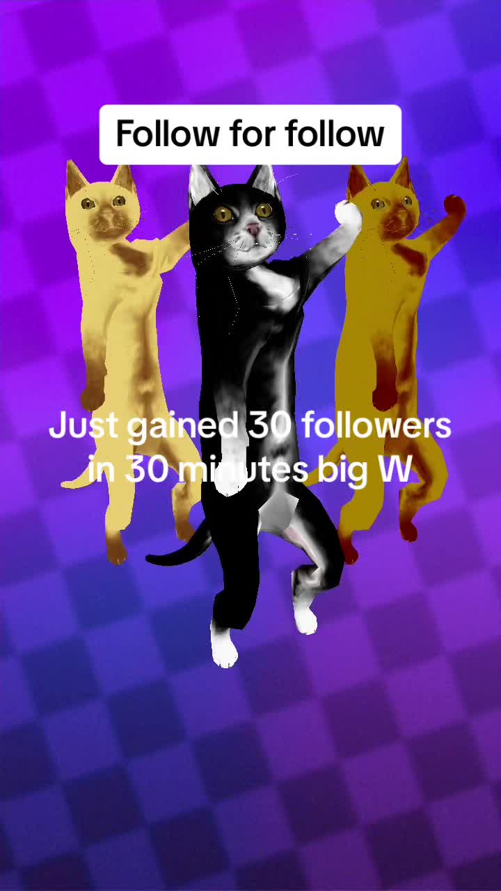 @Follow for follow