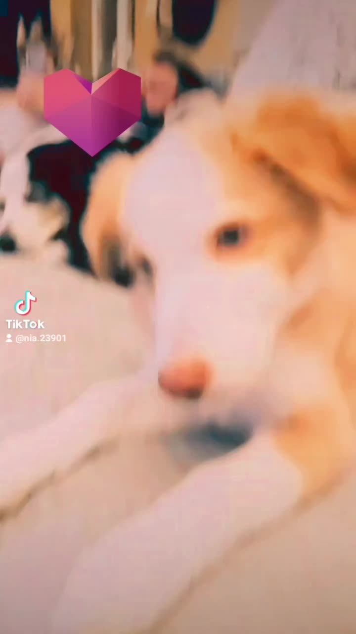 @nia💕