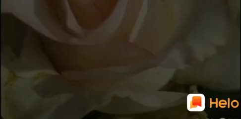 @divyashete982