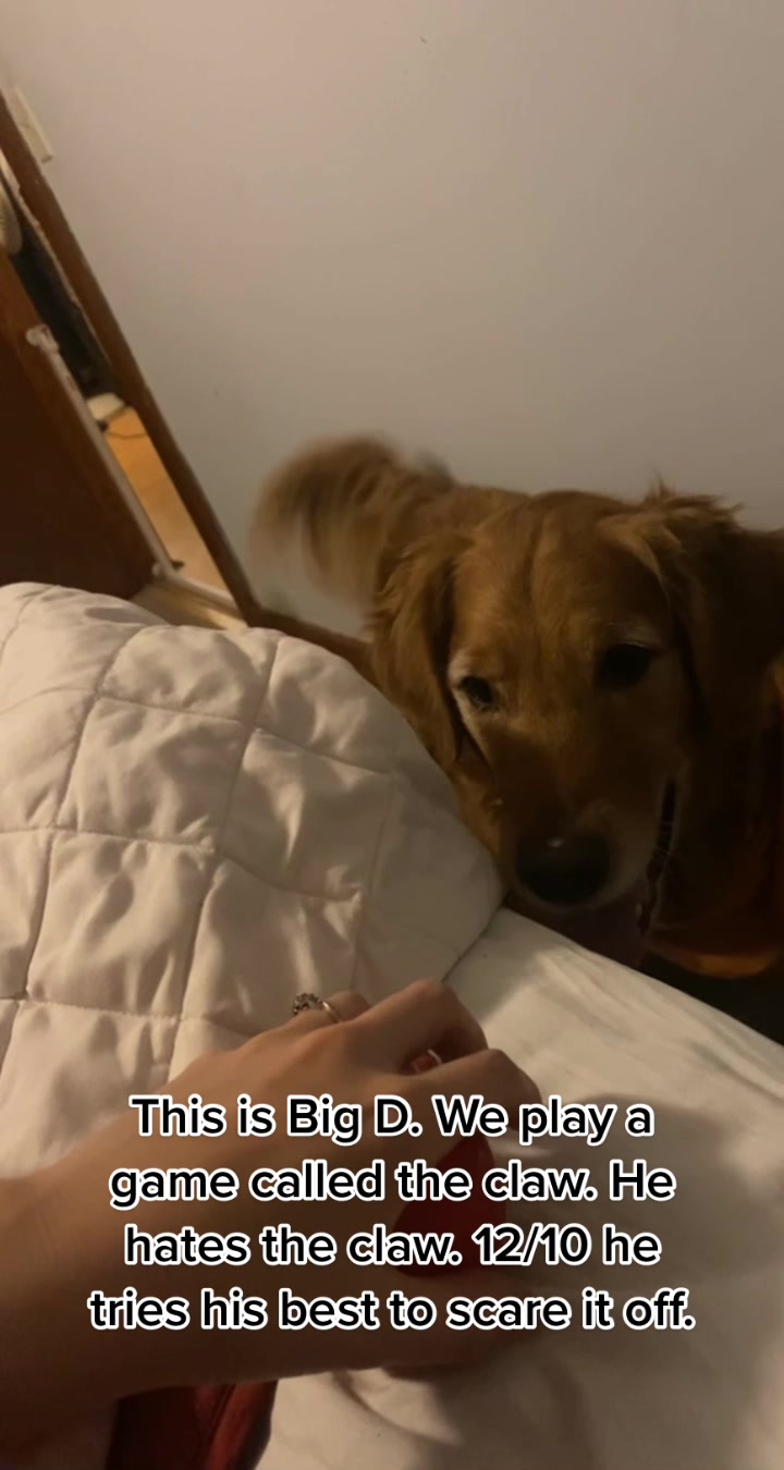 @Karlee Vierra
