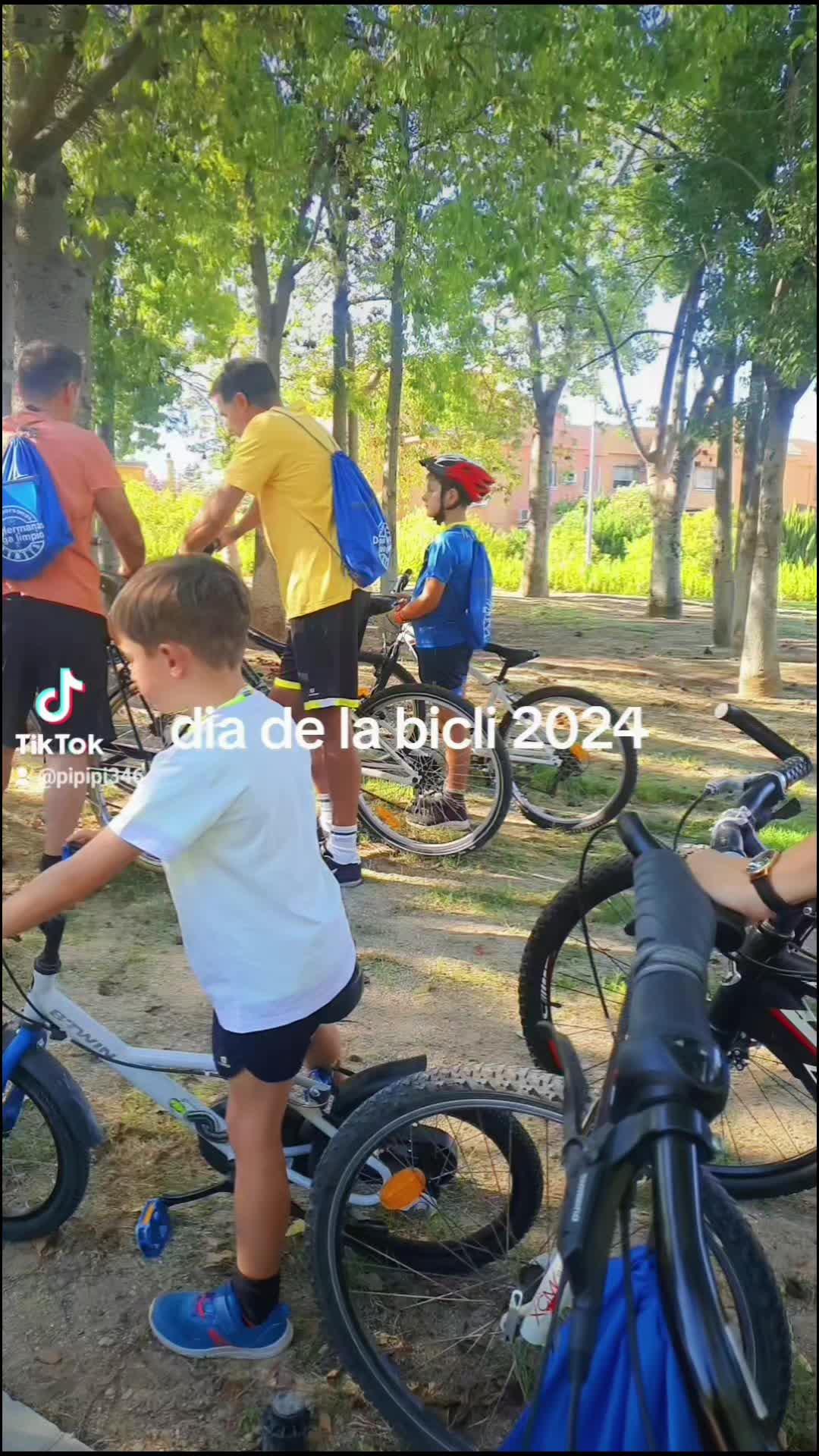 @pipipi374