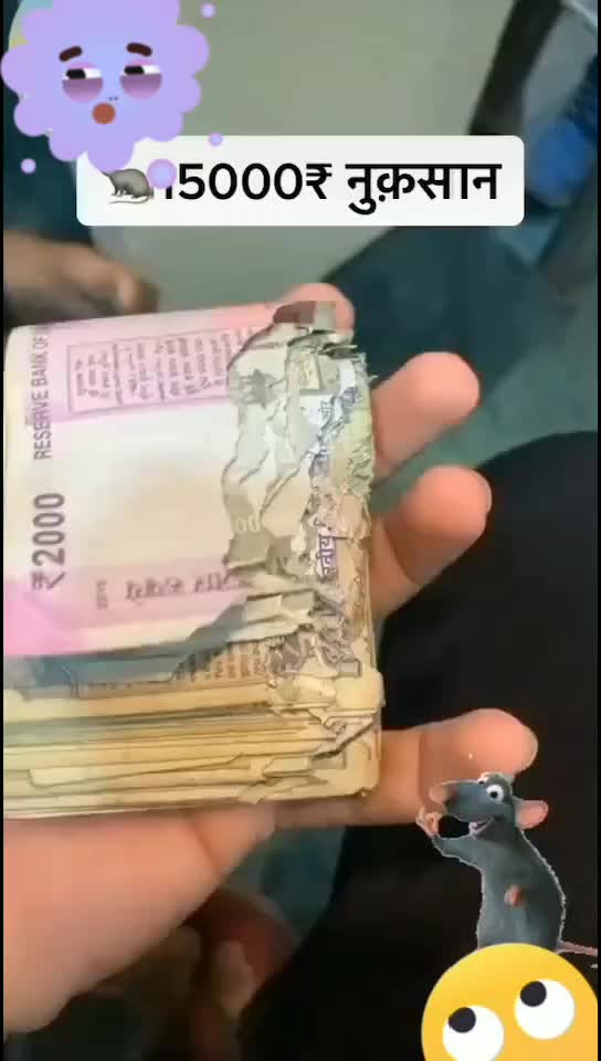@mistipeu