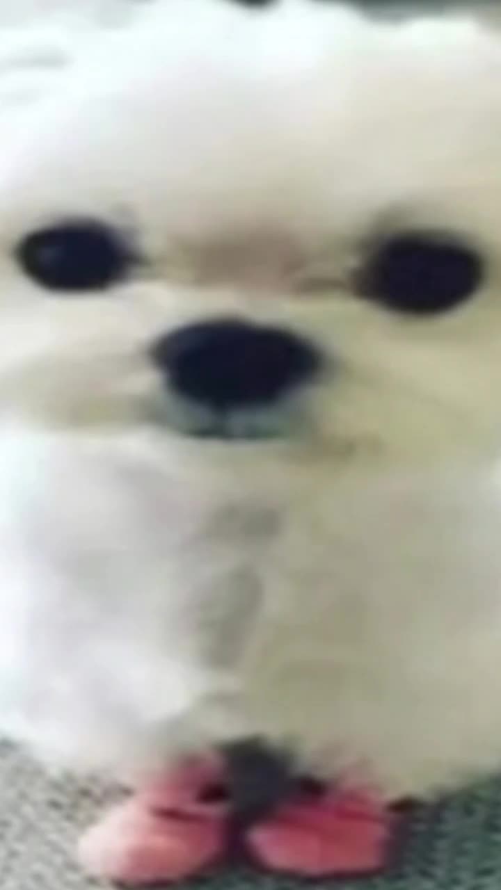 @help