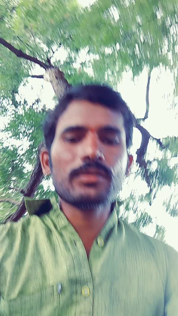 @hampesh