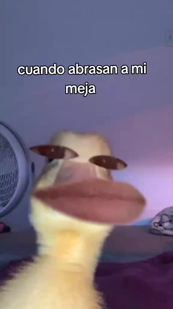 @Elena H.