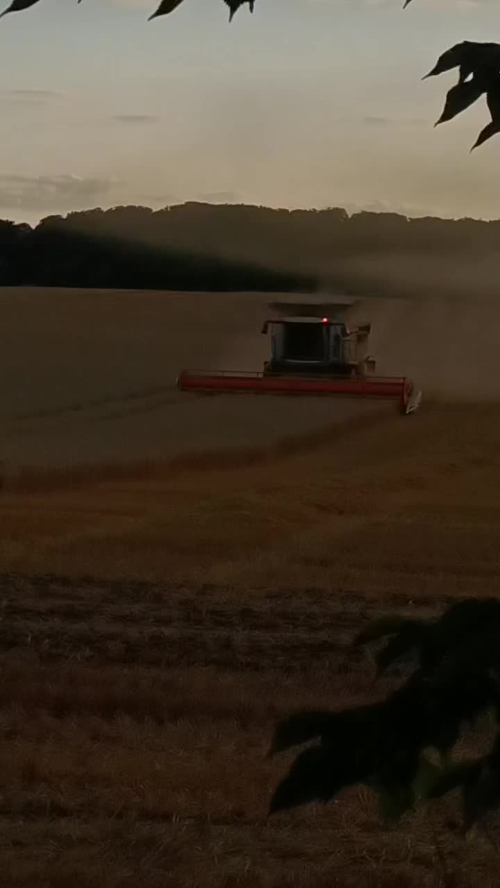 @draggon_97