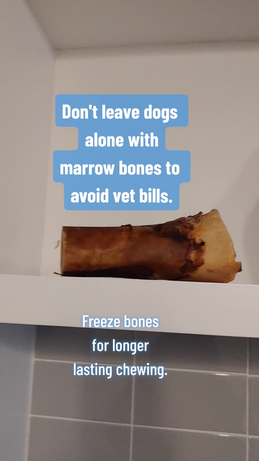 @TeachersPetSitting