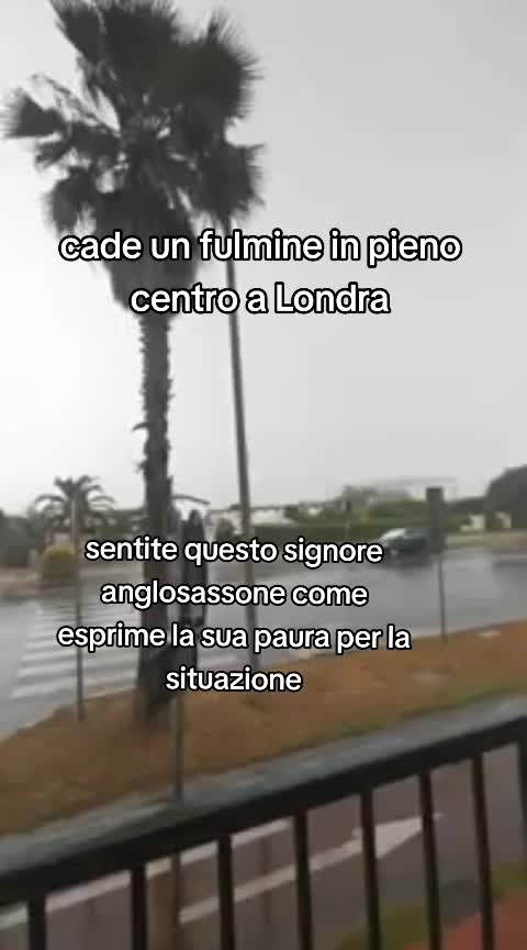 @Bacunzio Rizzoli
