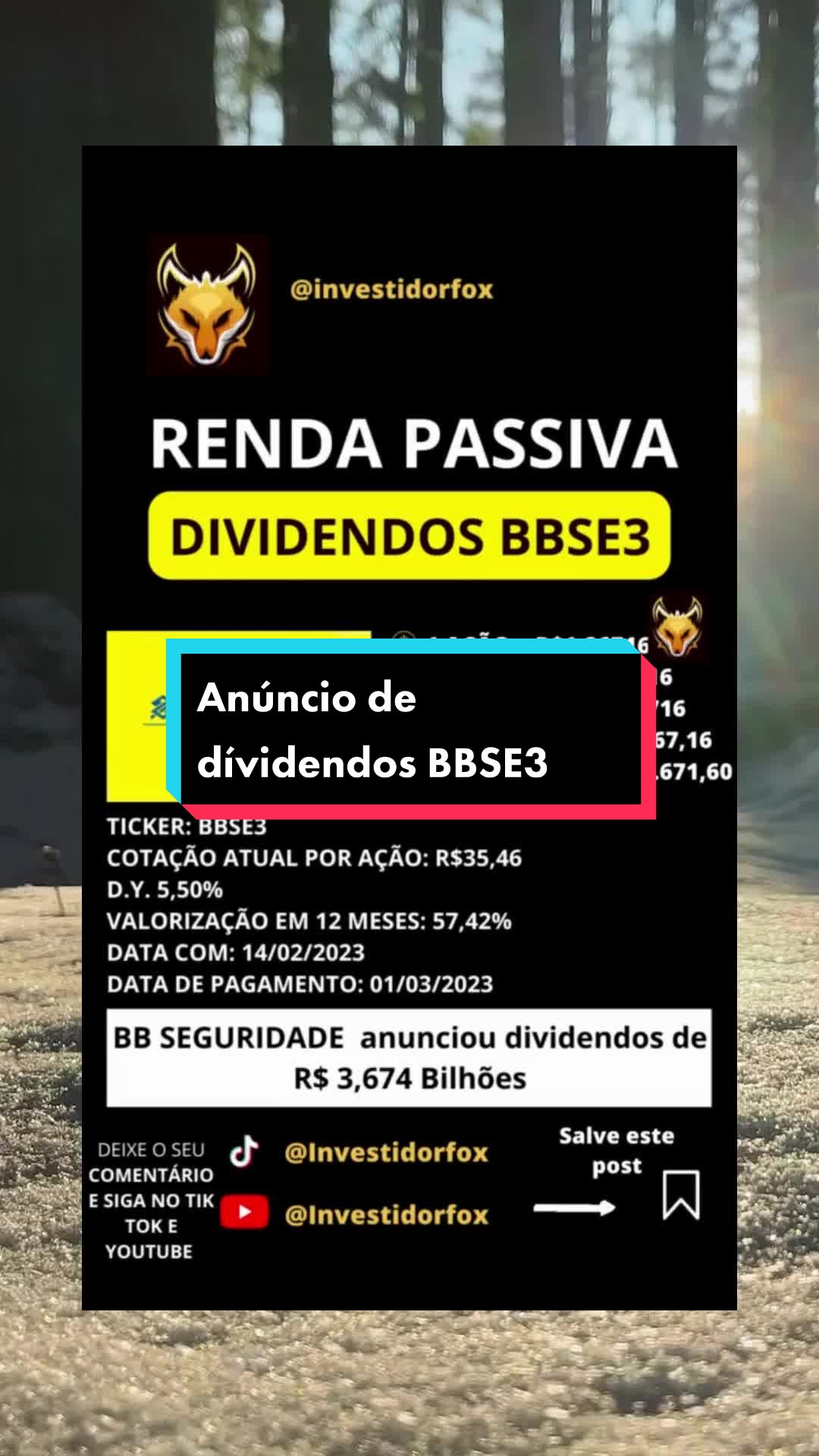 @InvestidorFox