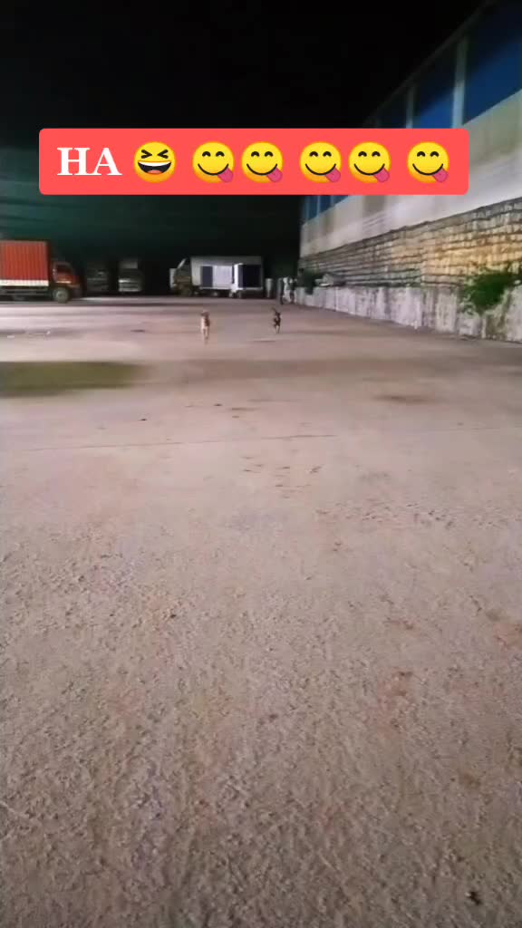 @SAMBIT _7438_929