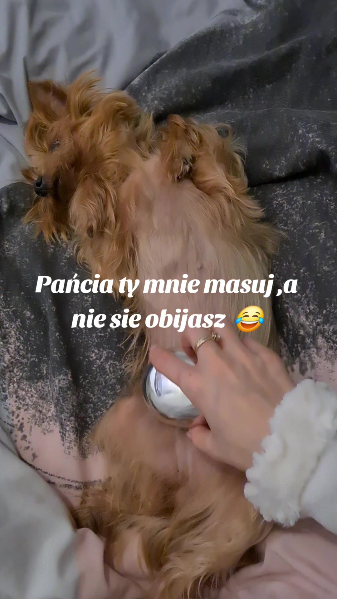 @Ewelina Bednarska