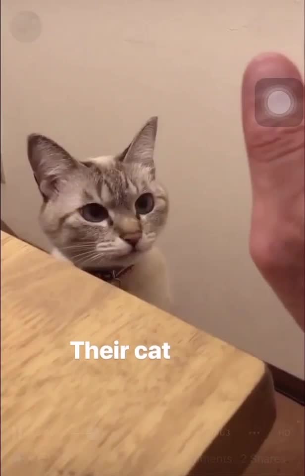 @Chi Xê