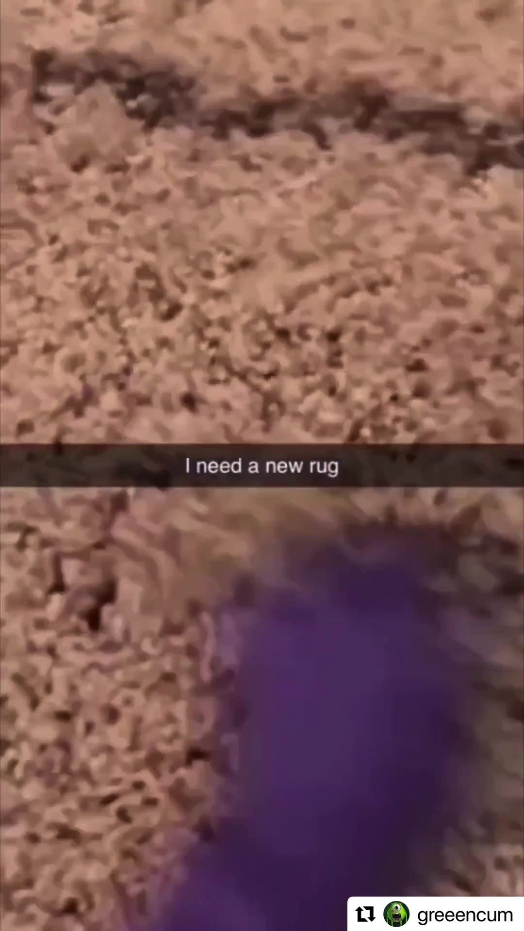 @shleembo