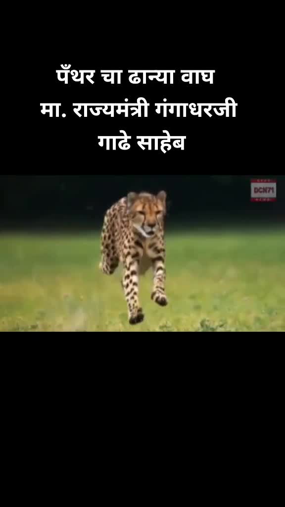 @Vinod Khande