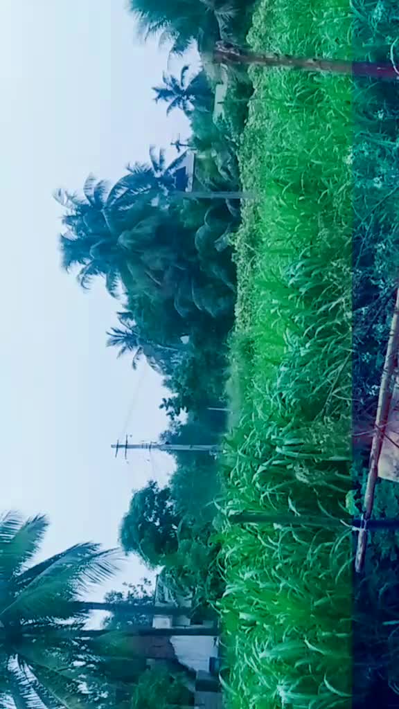 @Srinu Sri