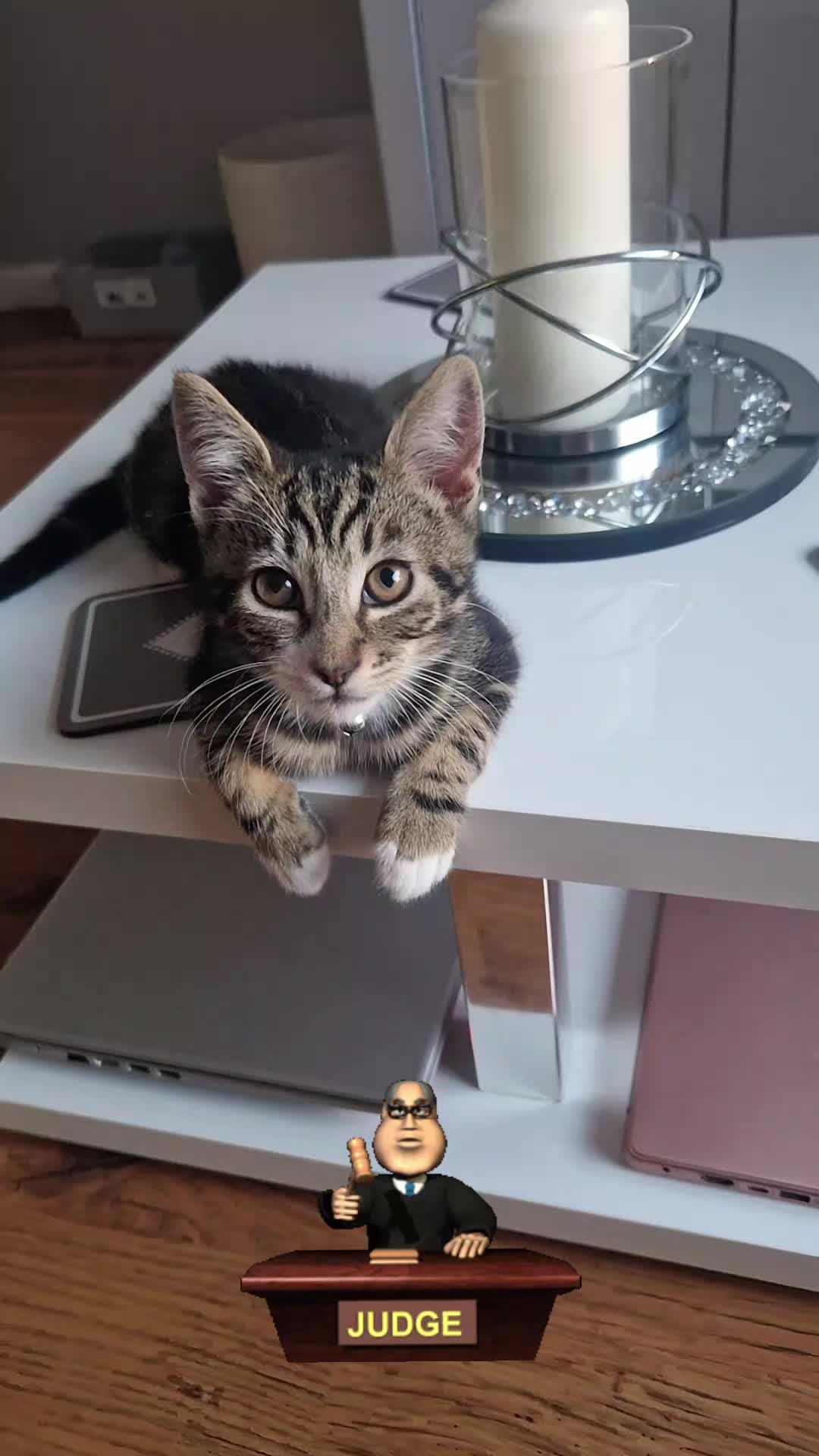 @Banjothecat2024