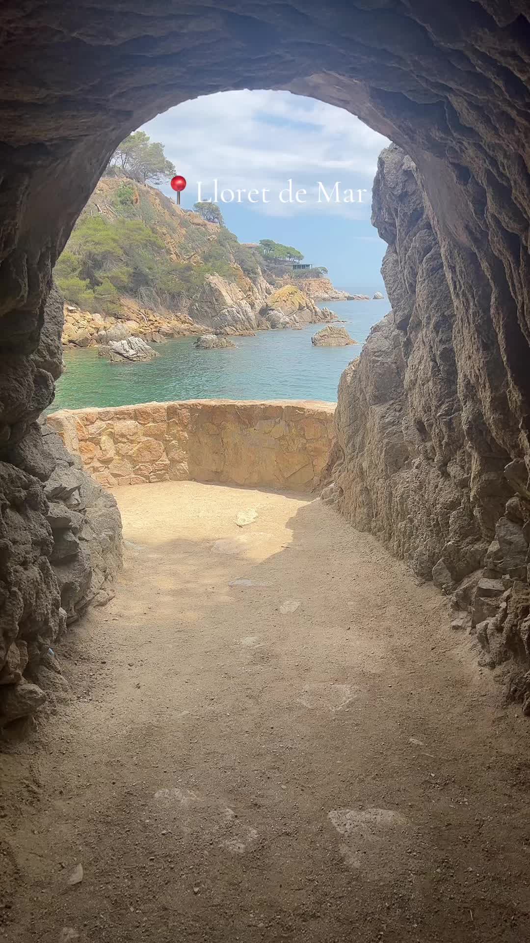 @Алиска🇷🇺