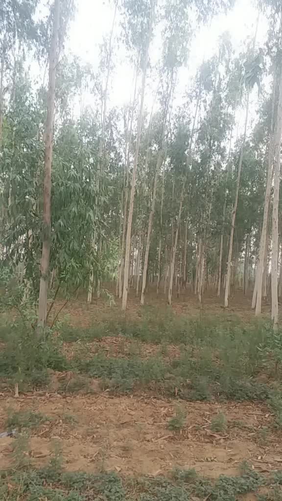 @djhiteshrock3