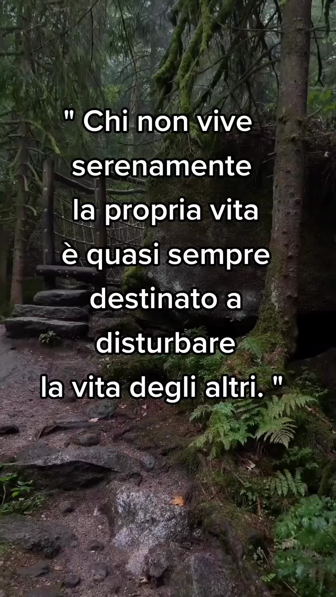 @💫FRASI&CITAZIONI💫