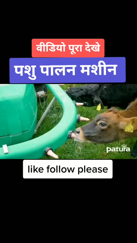 @aadam37 कुचामन सिटी