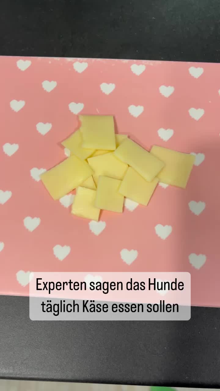 @Fly&Mareike