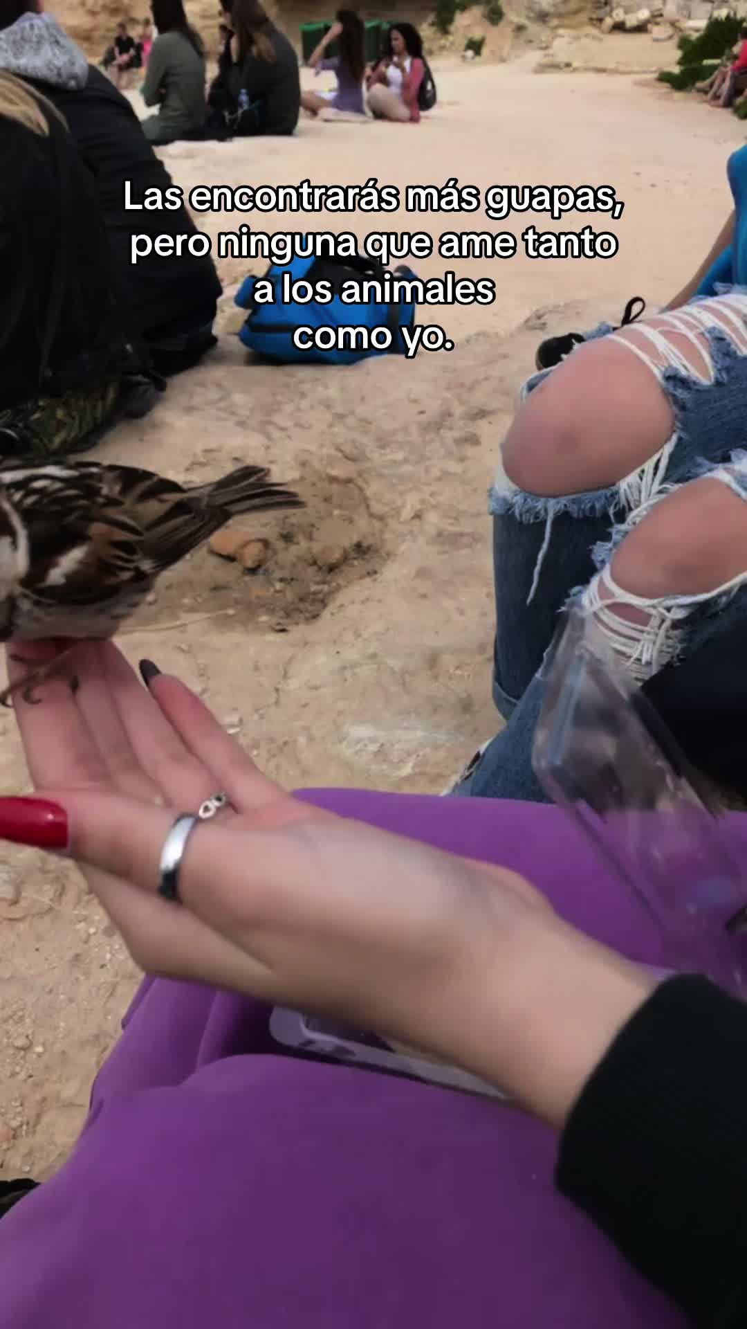 @Pauuliiss 🐉