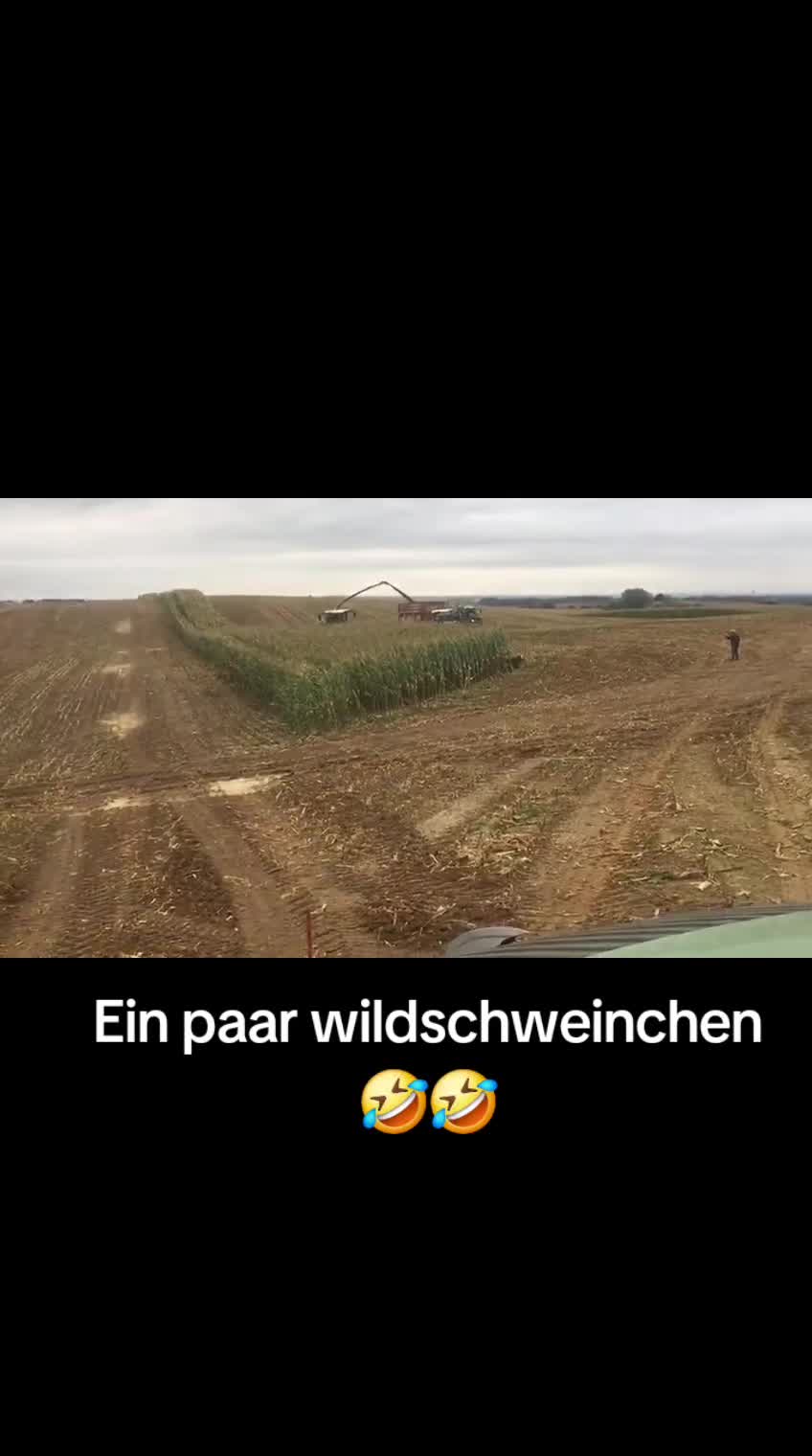 @GoldiFlo