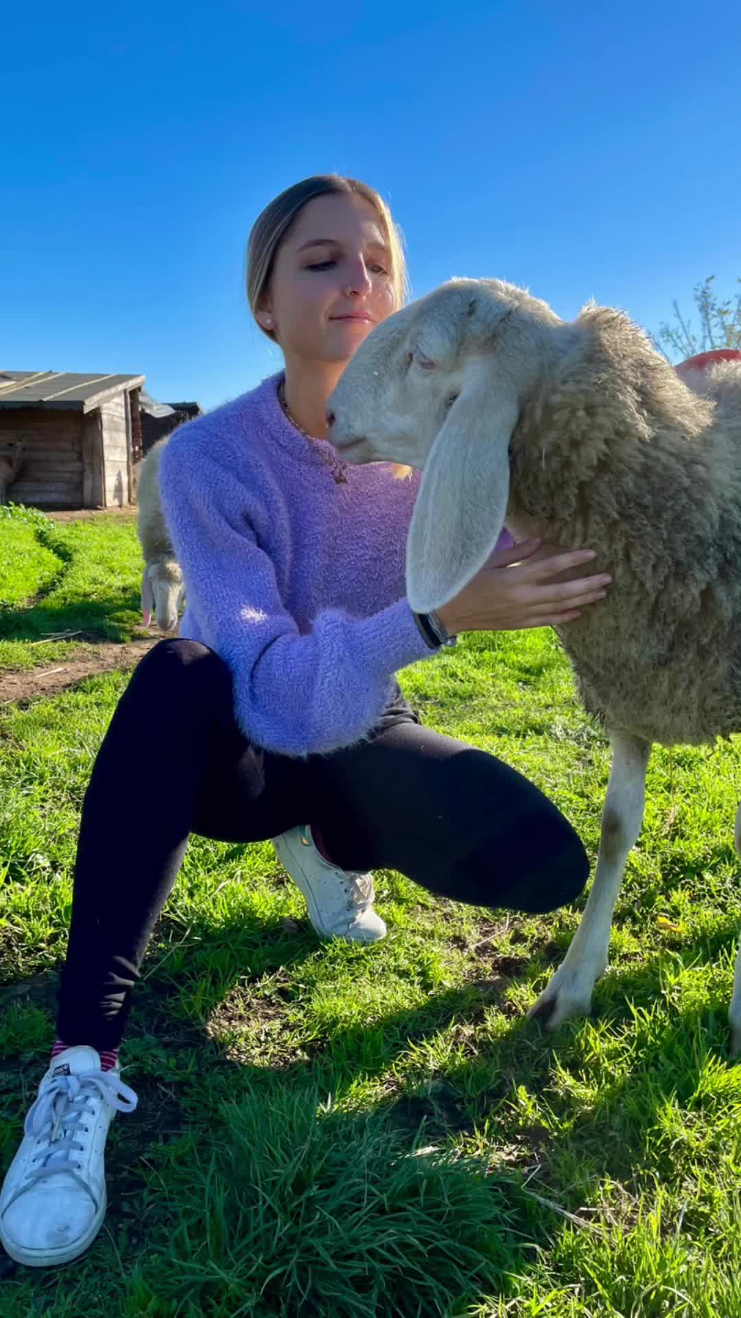 @Erica Barbieri