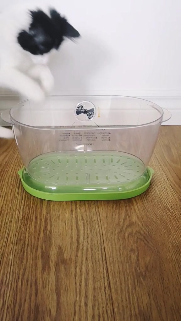 @If I fits I sits