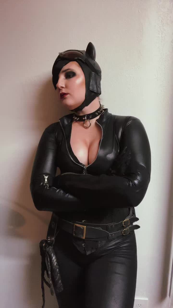 @Lady Harlequin