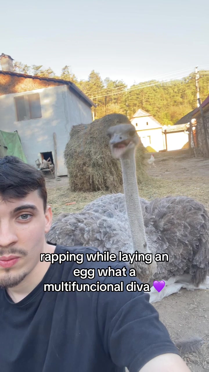 @n&aelig;gu