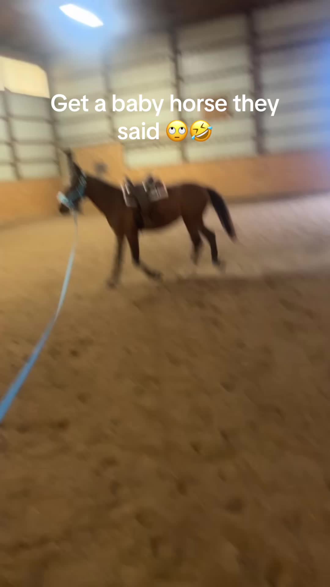 @Luna