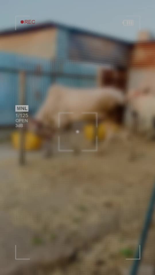 @PRASAD BHUJBAL ⚜️