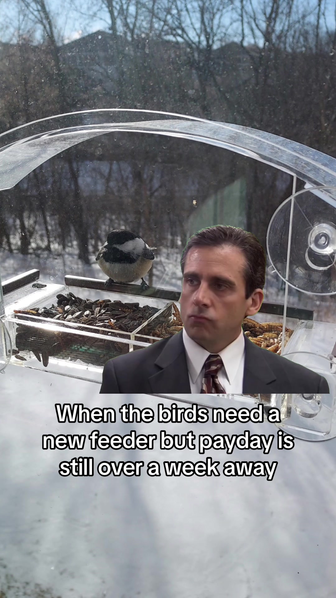 @homebirdshop