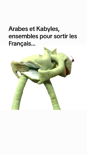 @Colonel Amirouche