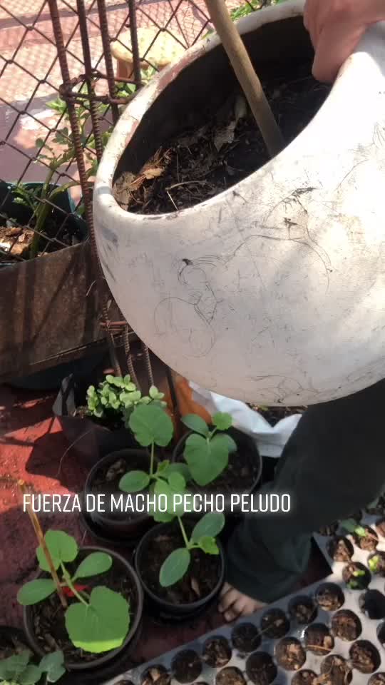 @momentosconmony