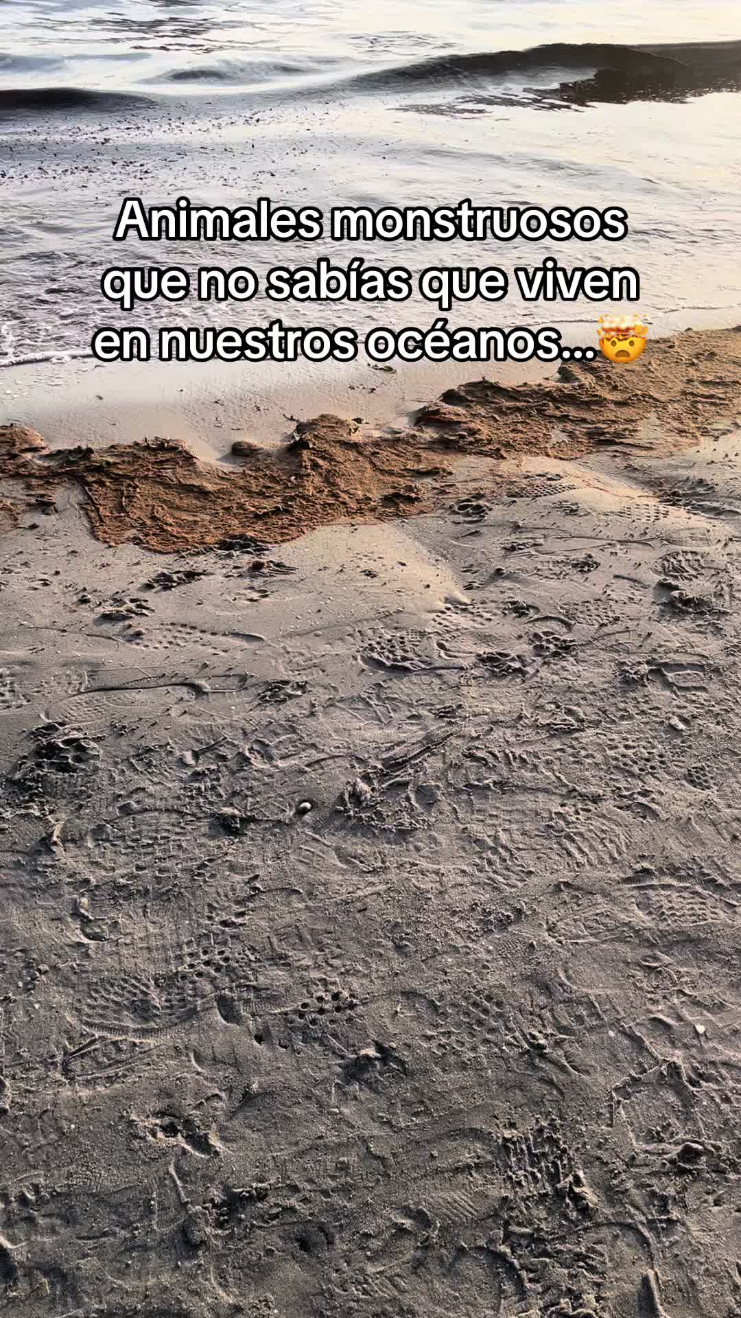 @CURIOSIDADES
