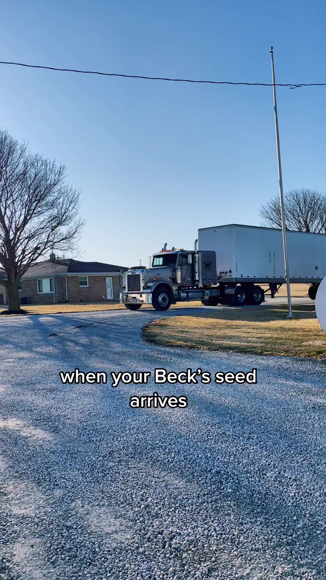 @Beck&rsquo;s Hybrids