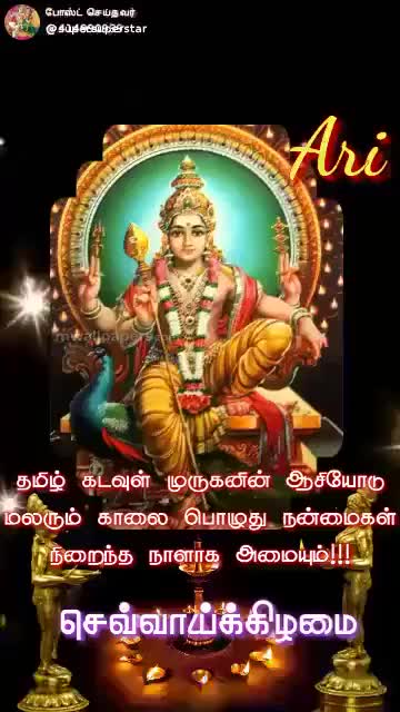 @user97716721200