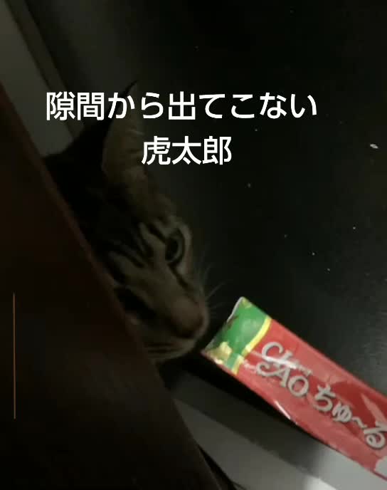@みなし