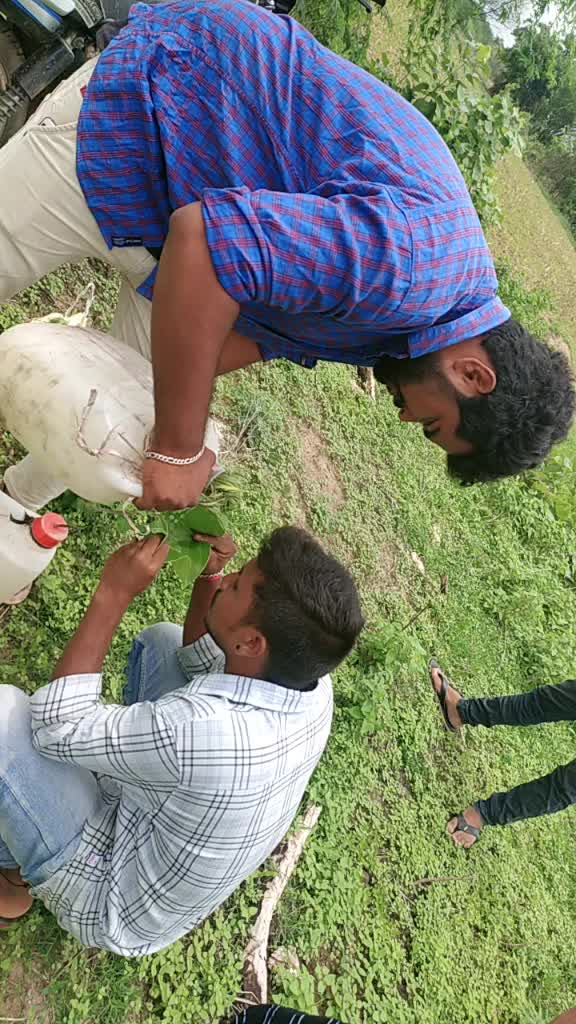 @Mailarapu Sagar