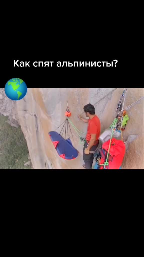 @Marmot