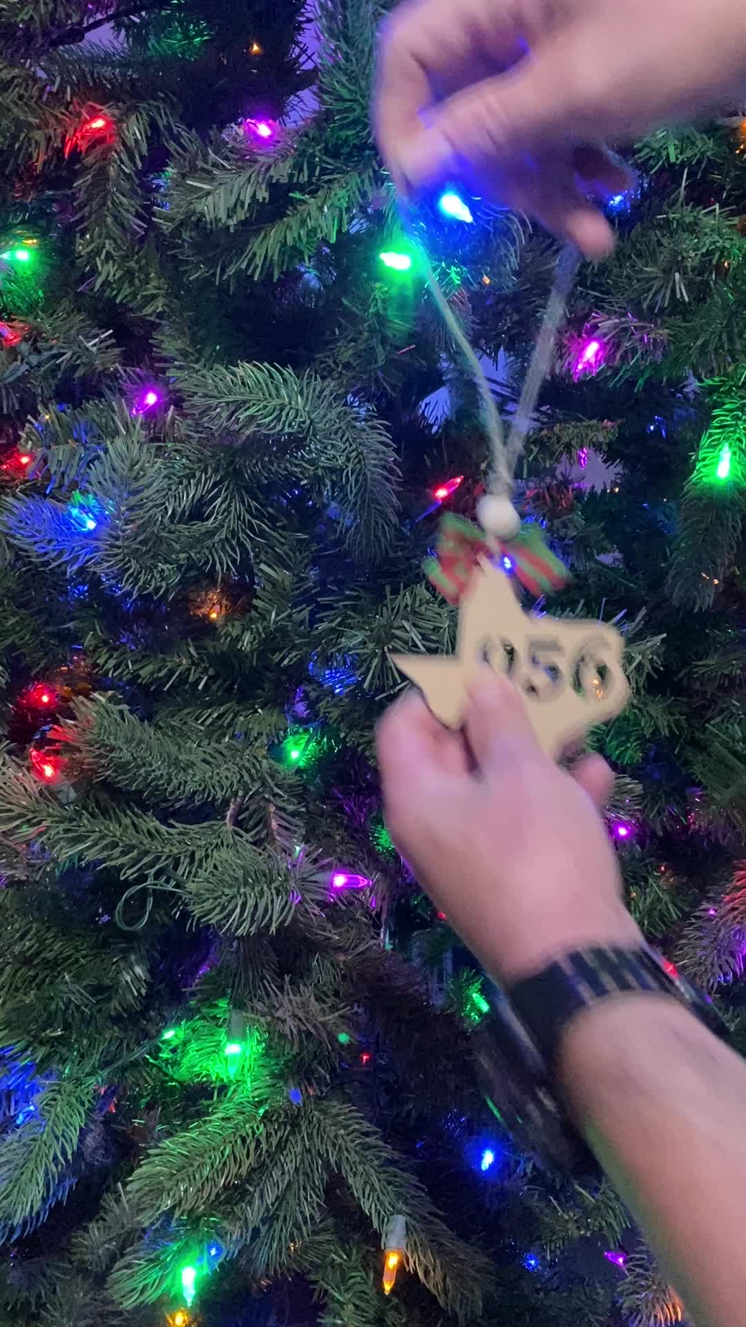 @TheCraftyLadder