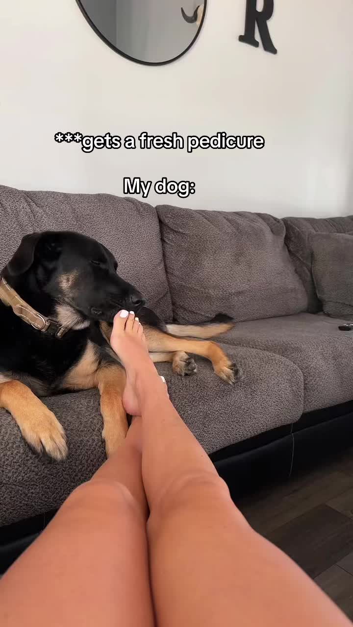 @rxchh