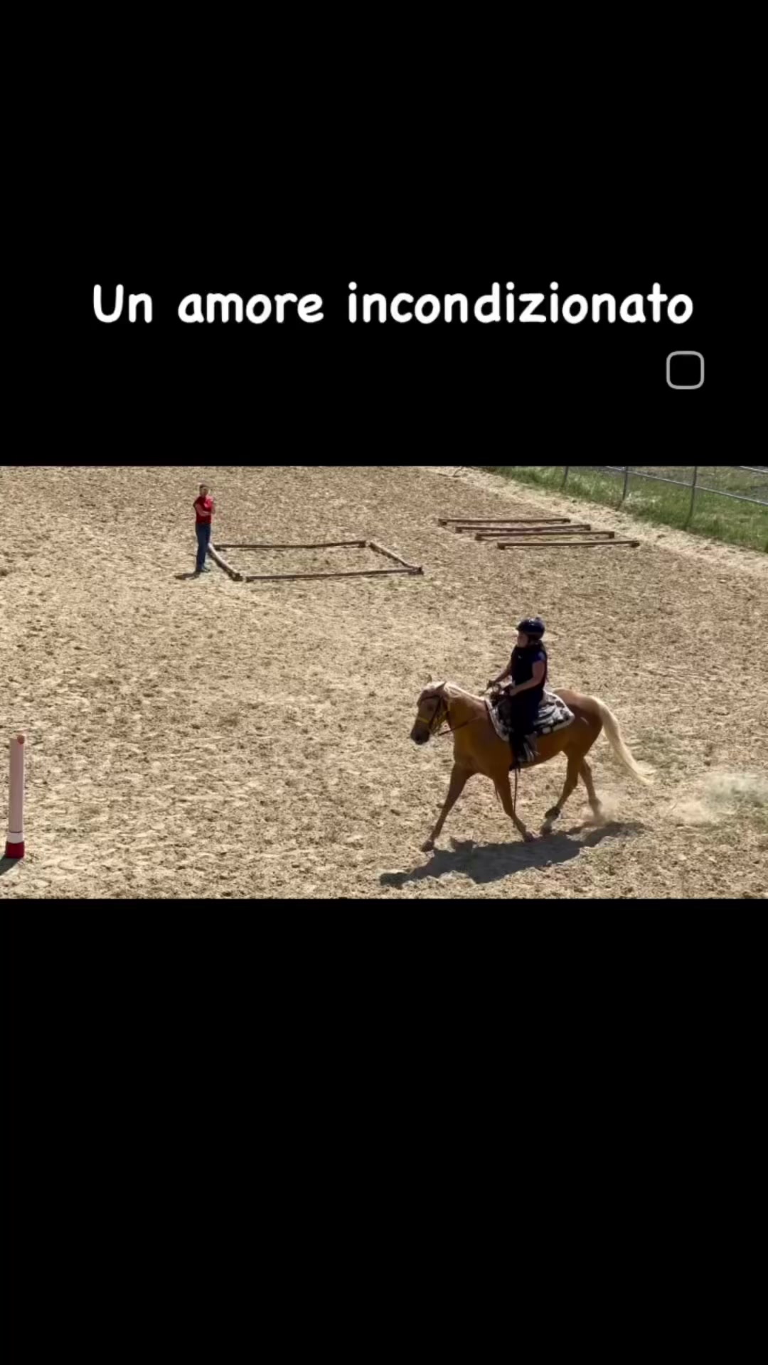 @Angelica Pietracatel