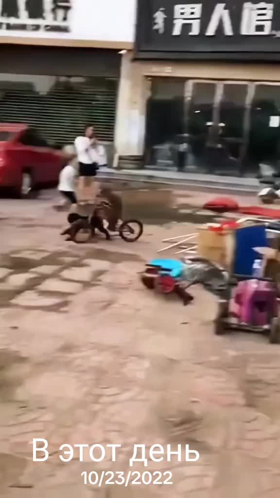 @Слава Добрый Вечер🤪😜🤪