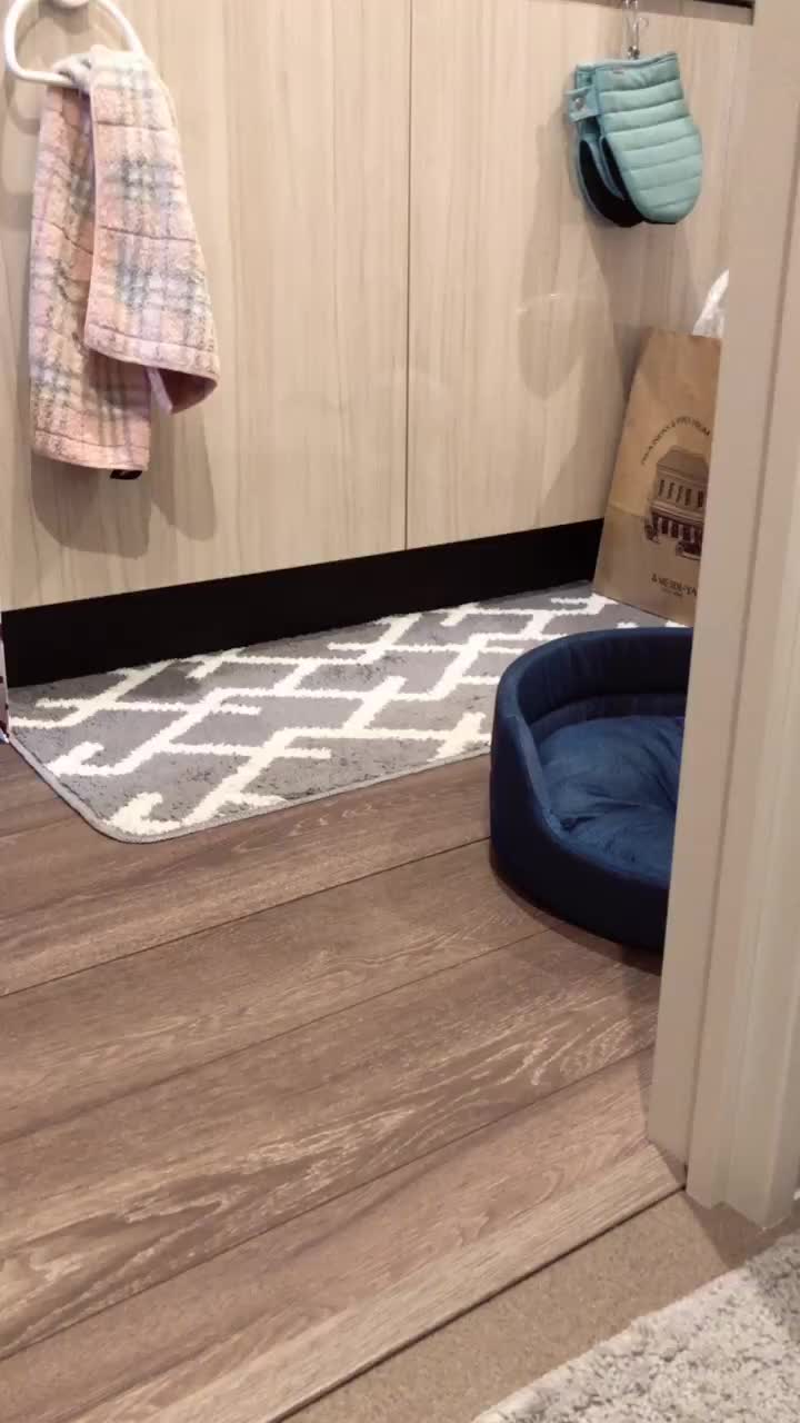 @conaaan
