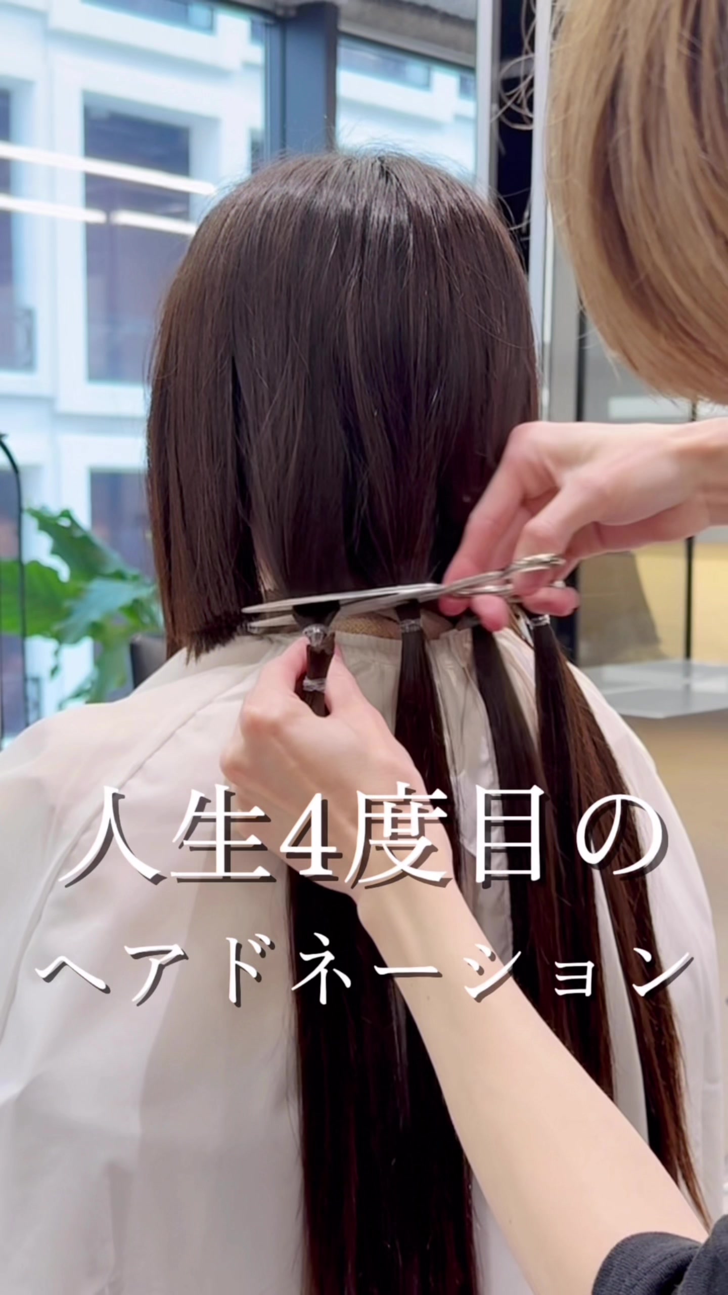 @ボブなら銀座５丁目のこば