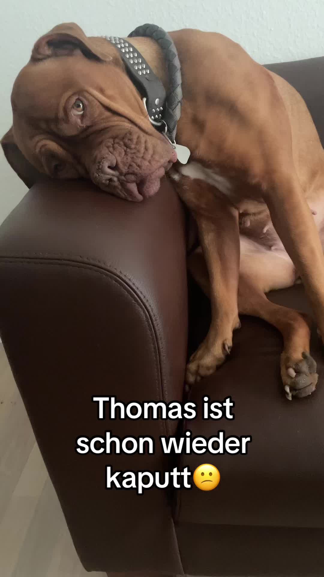 @Marleene🐶
